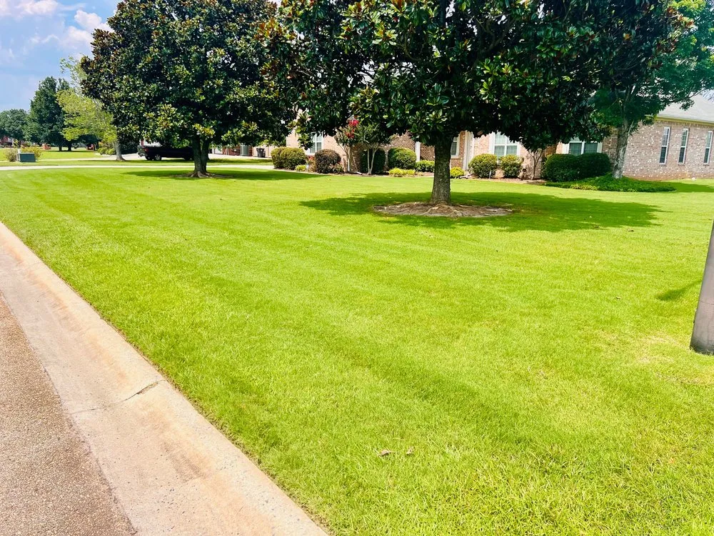 Affordable landscape installation in Byron, GA - Quality Landscaping