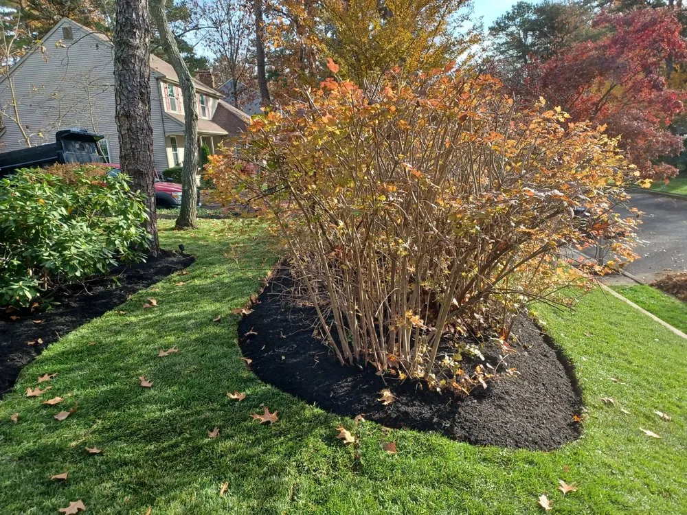 Reliable outdoor landscaping with custom design in Clementon, NJ by Quality Landscaping