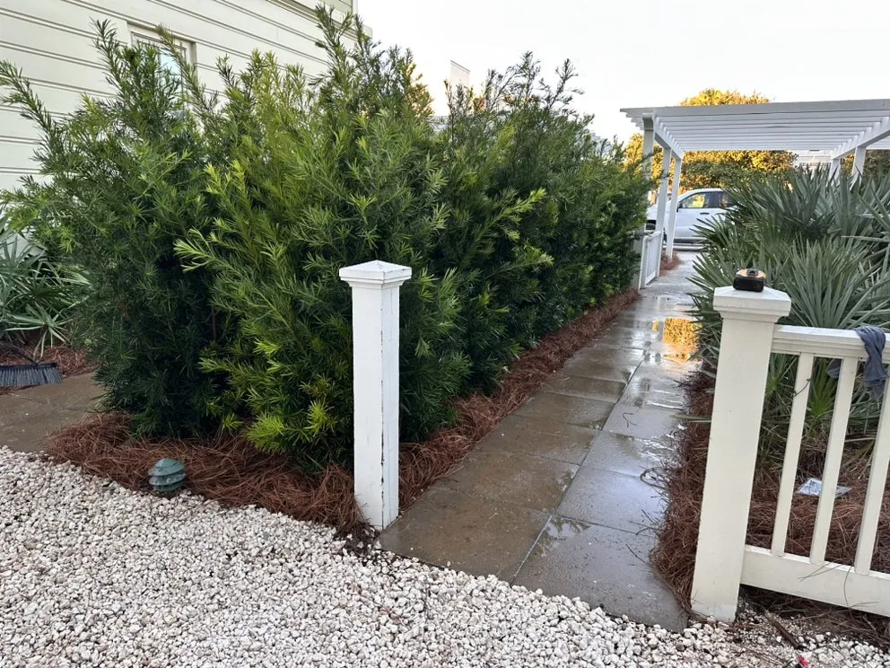 Local landscaping services in Freeport, FL by Quality Landscaping