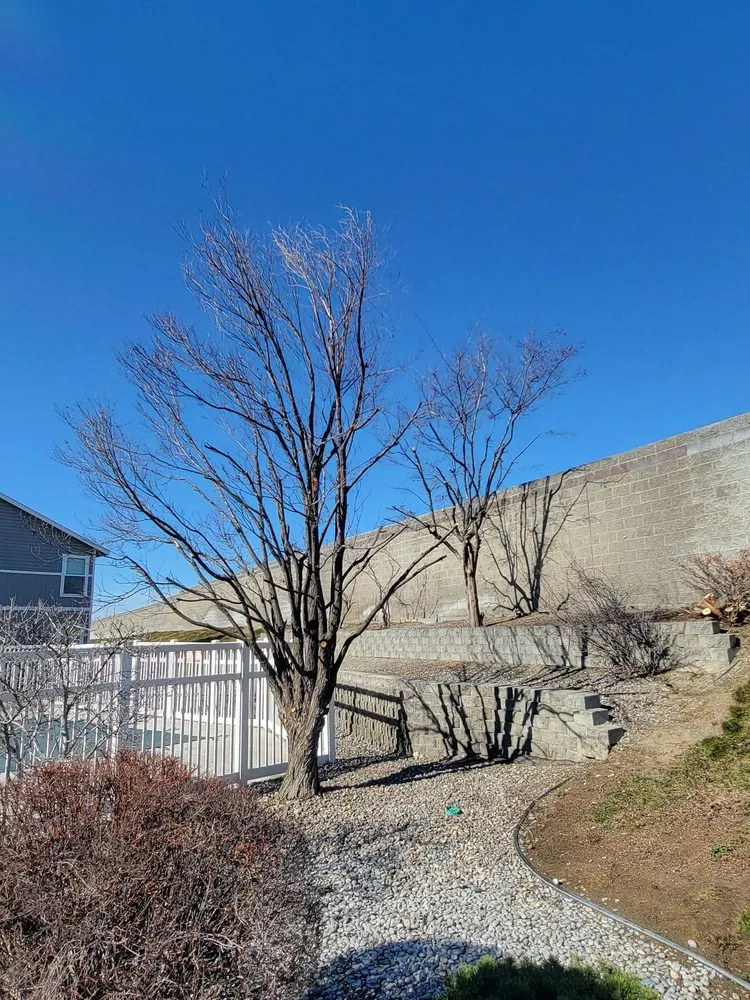 Professional yard cleanup service for year-round maintenance across Richland, WA - Quality Landscaping Maintenance