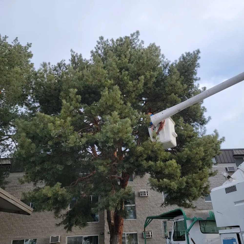 Professional lawn mowing service for homes across Richland, WA - Quality Landscaping Maintenance