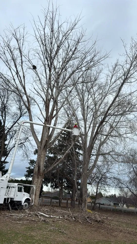 Top-rated garden landscaping for outdoor upgrades across Richland, WA - Quality Landscaping Maintenance