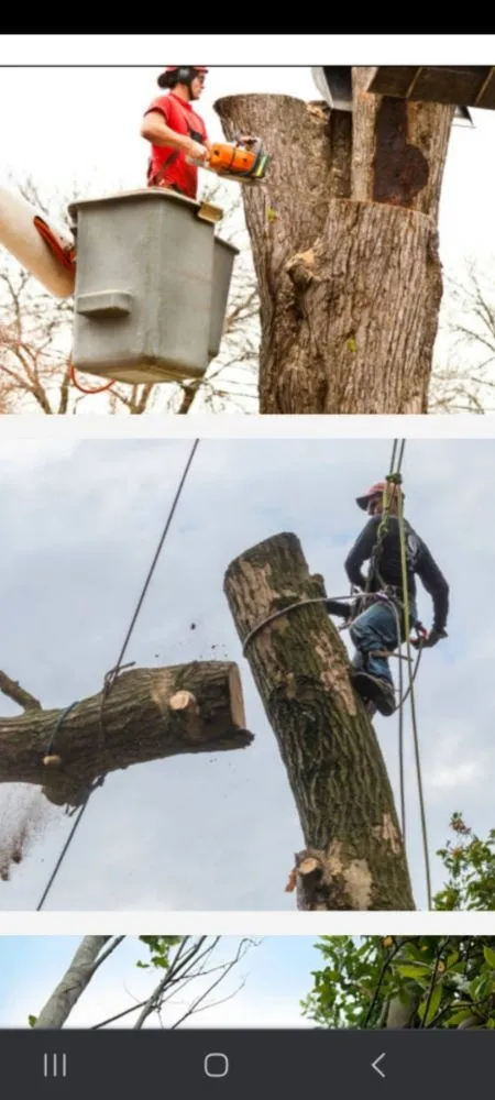 Reliable landscape design experts serving Richland, WA - Quality Landscaping Maintenance