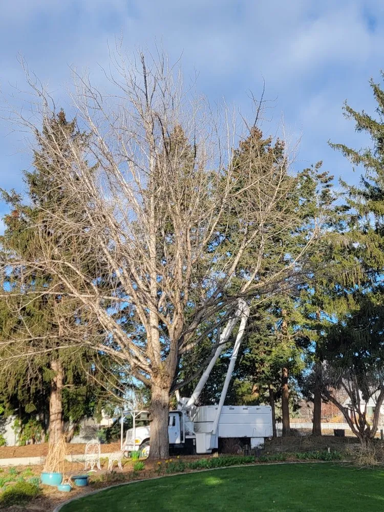 Trusted landscape installation for outdoor upgrades in Richland, WA by Quality Landscaping Maintenance