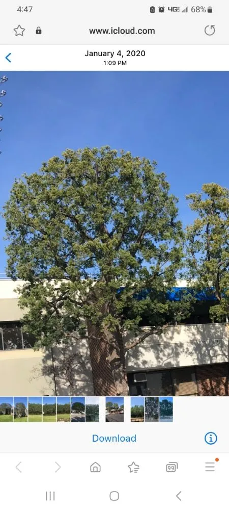 Custom yard cleanup service in Richland, WA by Quality Landscaping Maintenance