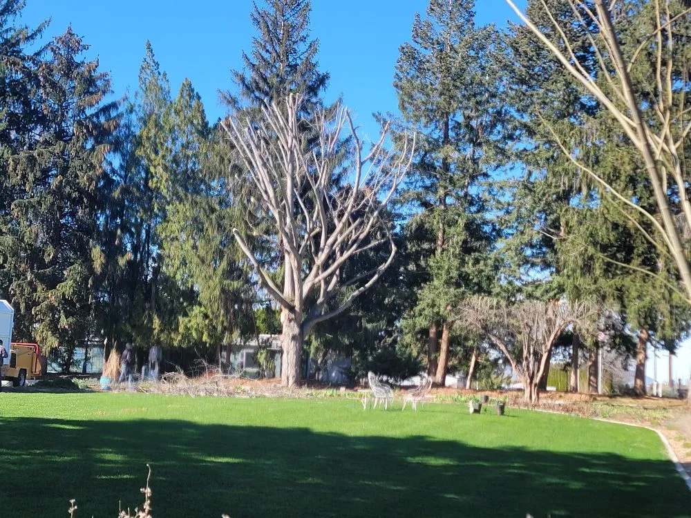 Affordable landscape design experts serving Richland, WA - Quality Landscaping Maintenance