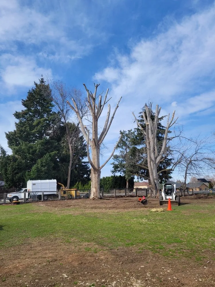 Affordable lawn care service in Richland, WA by Quality Landscaping Maintenance