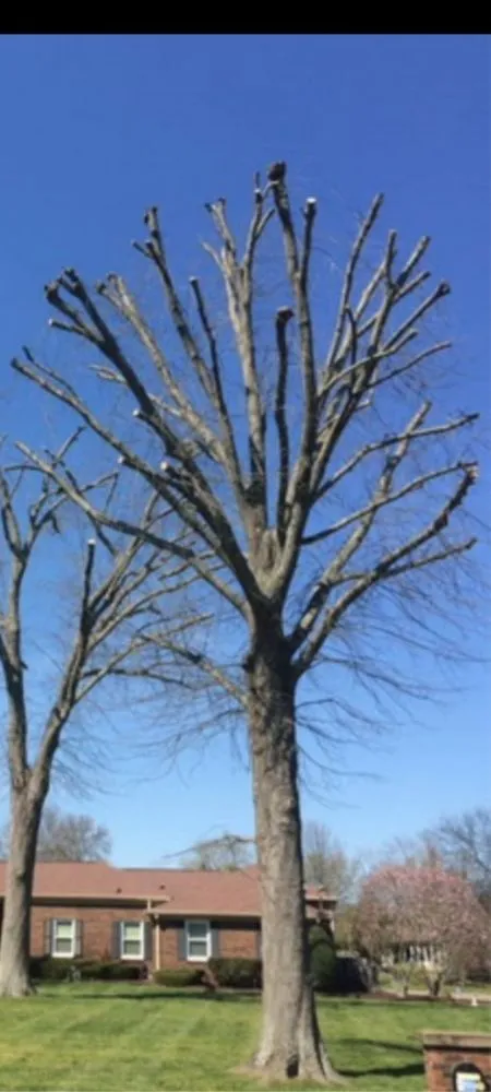 Custom yard cleanup service for outdoor upgrades across Richland, WA - Quality Landscaping Maintenance