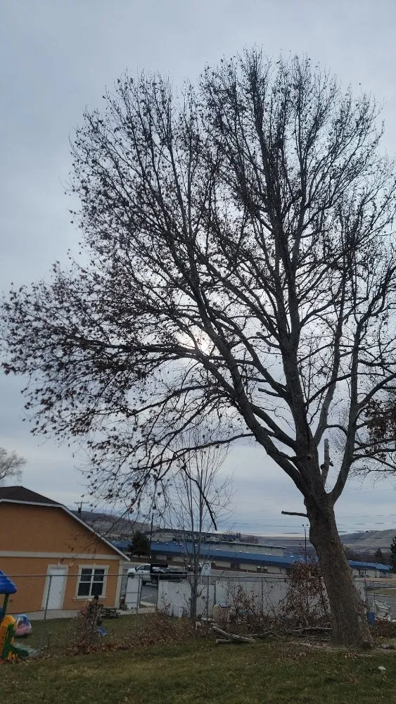 Professional landscaping services for outdoor upgrades in Richland, WA by Quality Landscaping Maintenance