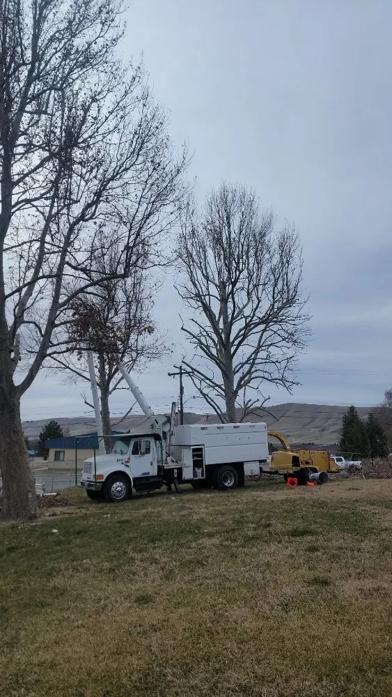 Expert landscaping services near you in Richland, WA by Quality Landscaping Maintenance