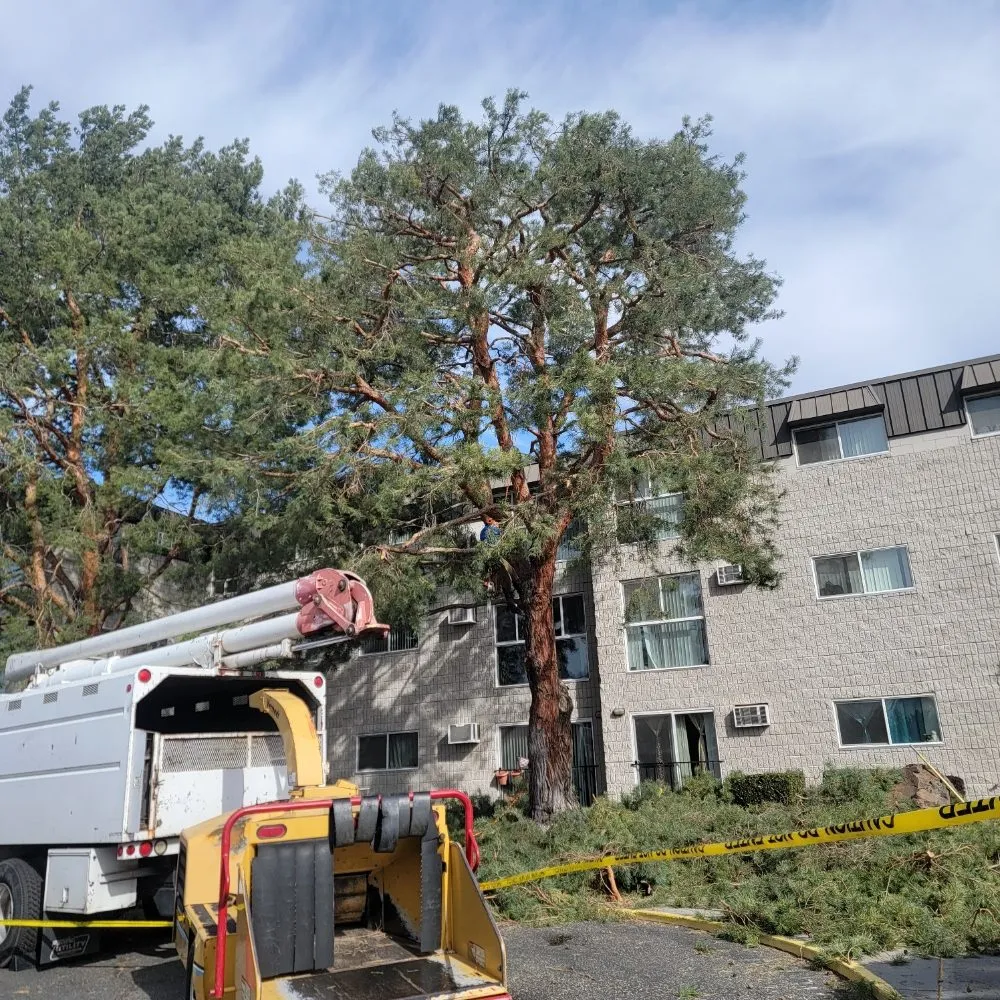 Affordable lawn mowing service in Richland, WA - Quality Landscaping Maintenance