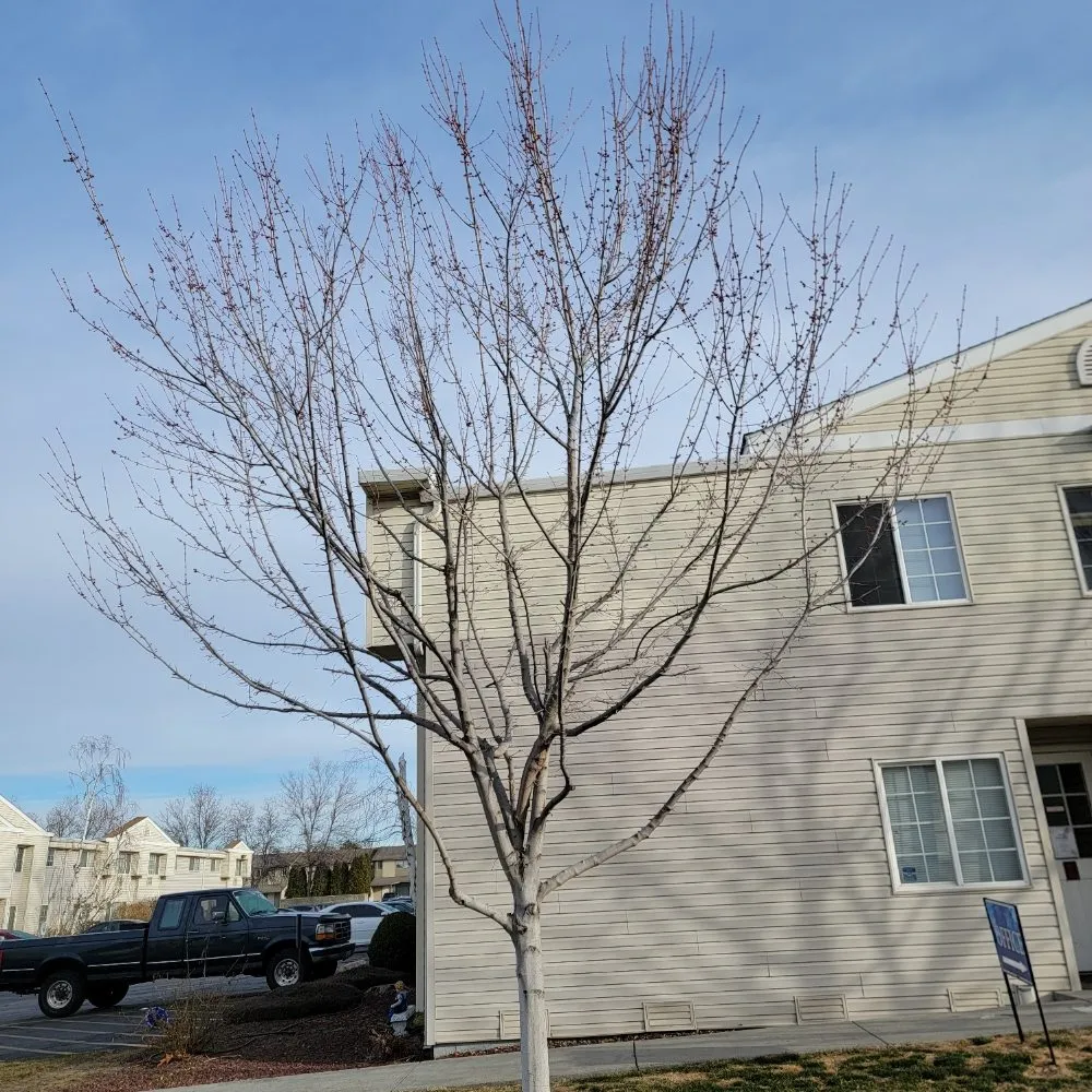 Reliable outdoor landscaping experts serving Richland, WA - Quality Landscaping Maintenance