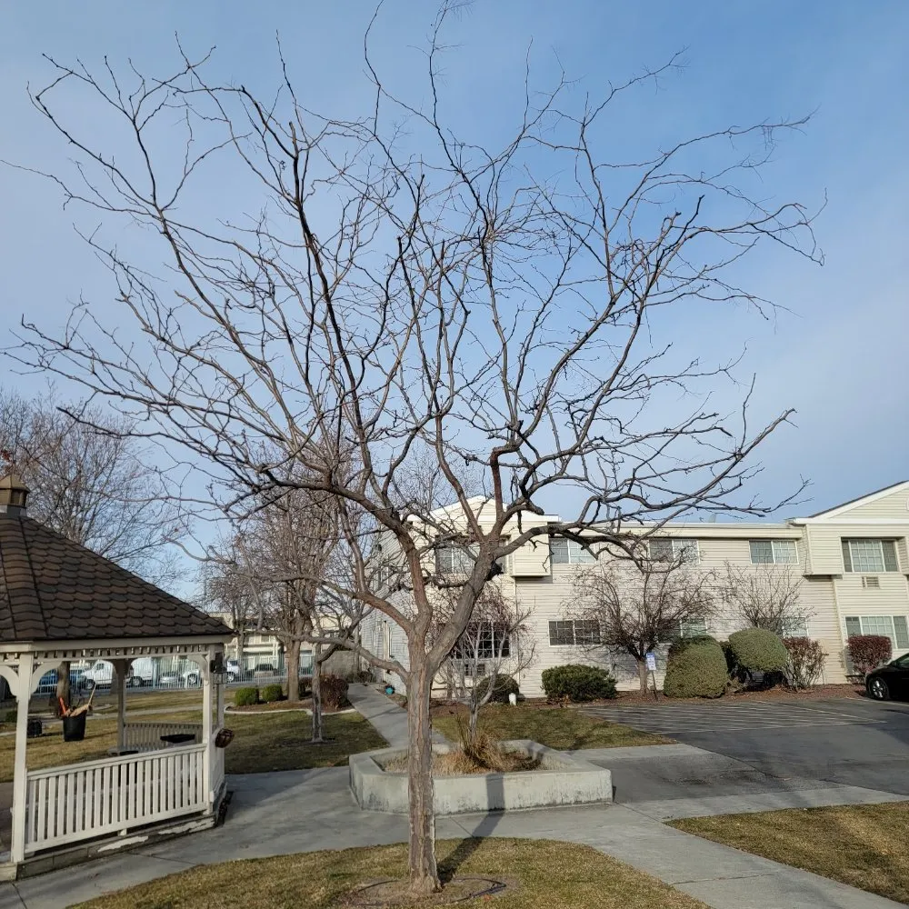 Top-rated garden landscaping for beautiful yards in Richland, WA by Quality Landscaping Maintenance