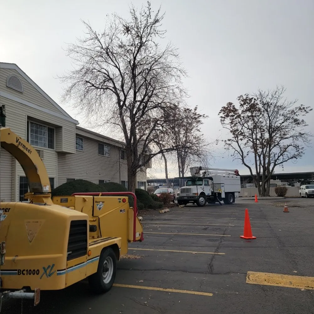 Trusted lawn care service near you across Richland, WA - Quality Landscaping Maintenance