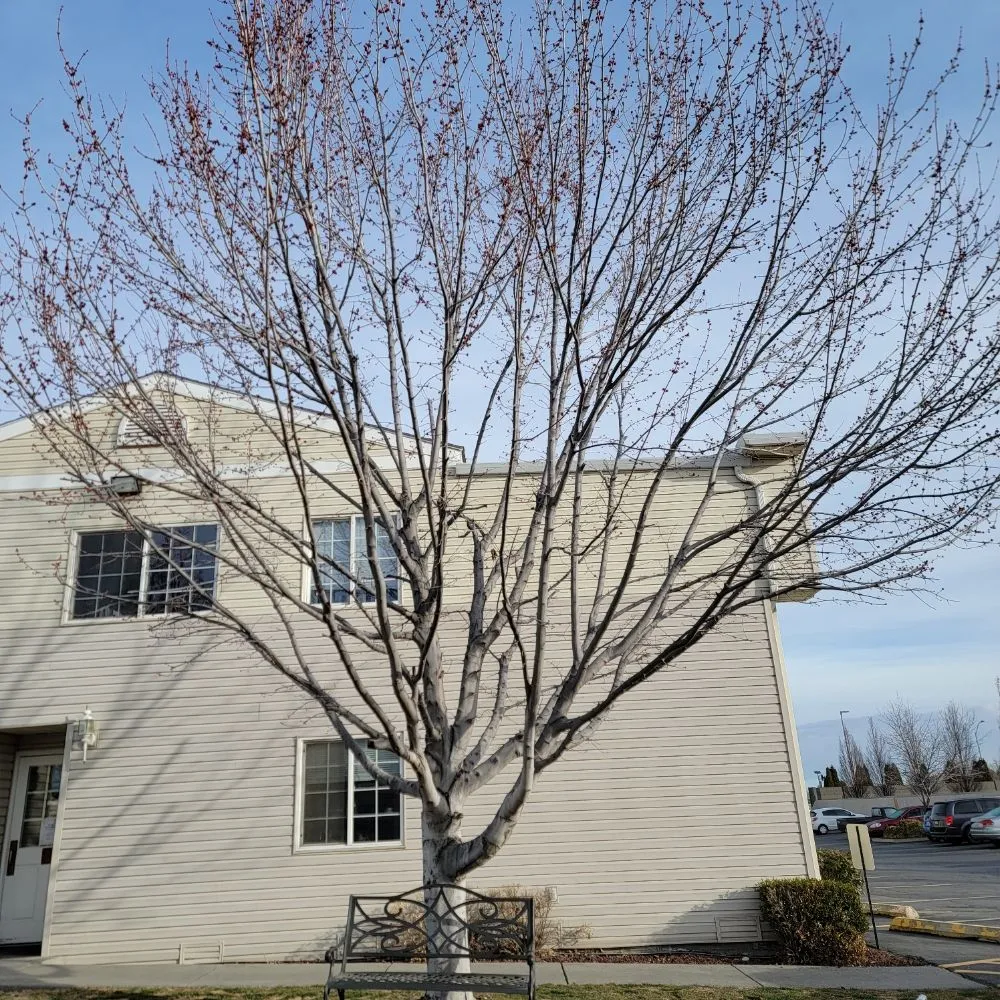 Top-rated outdoor landscaping experts serving Richland, WA - Quality Landscaping Maintenance