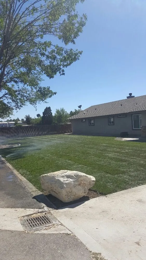 Top-rated yard cleanup service in Moreno Valley, CA by Quality Landscaping