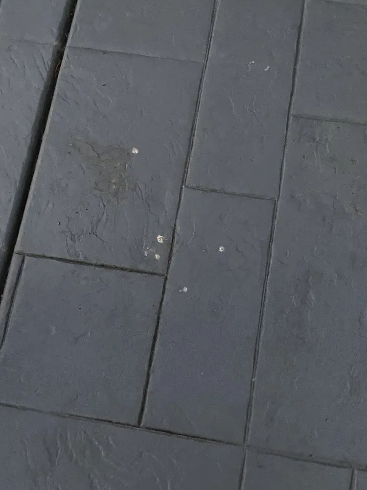 Top-rated lawn care service in Moreno Valley, CA by Quality Landscaping