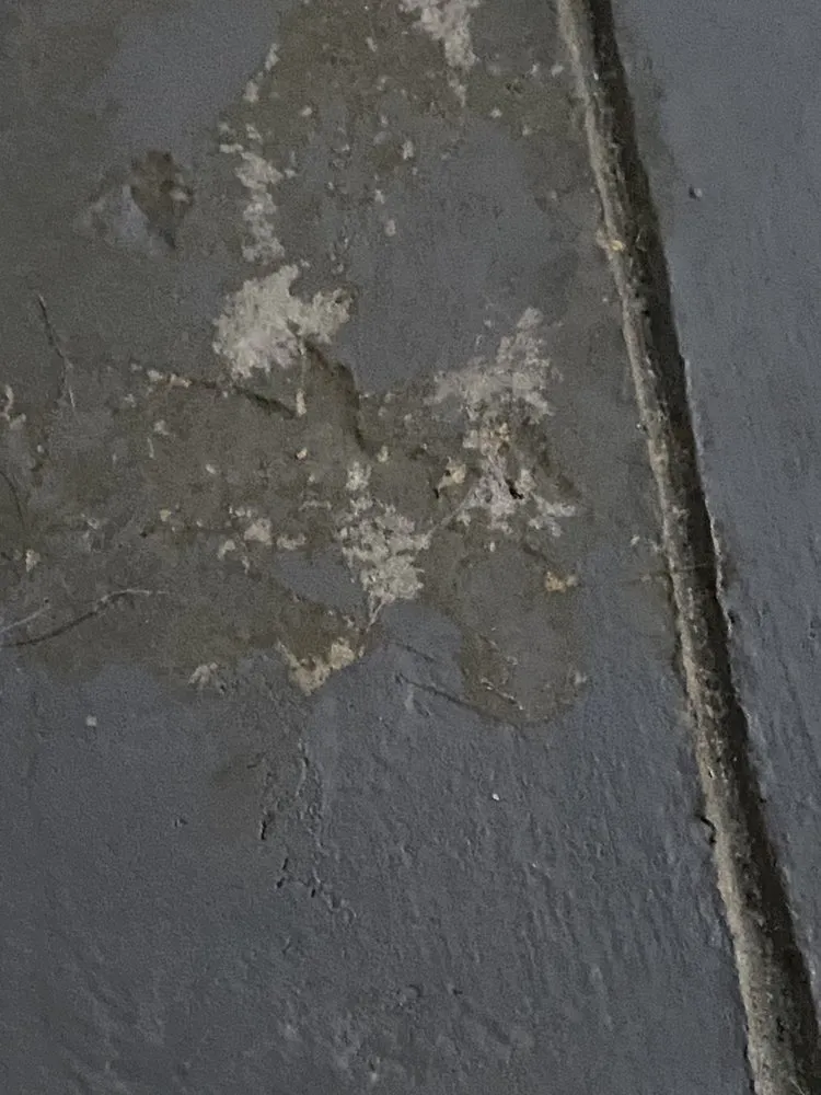 Top-rated yard maintenance in Moreno Valley, CA by Quality Landscaping