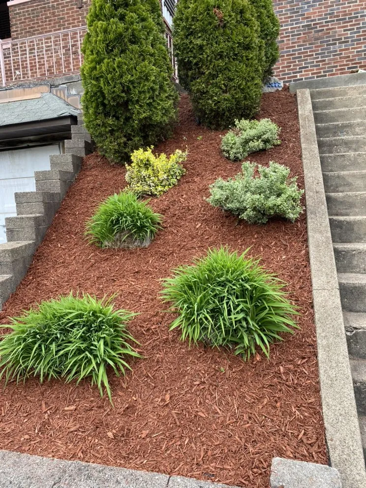 Custom yard cleanup service experts serving Pittsburgh, PA - Quality Landscaping