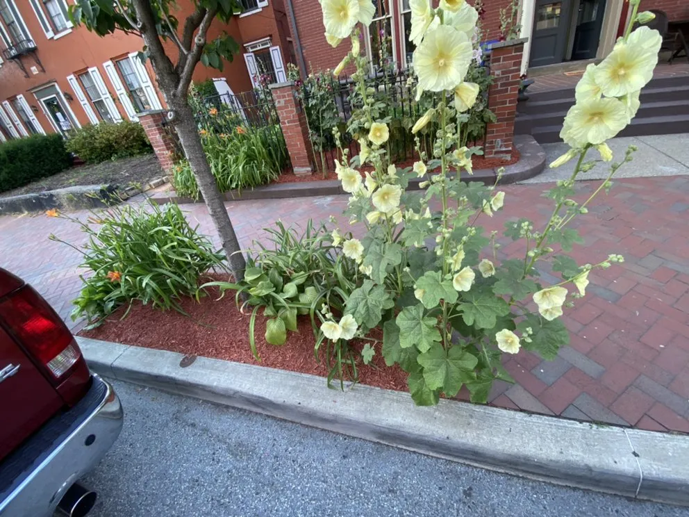 Trusted residential landscaping in Pittsburgh, PA - Quality Landscaping