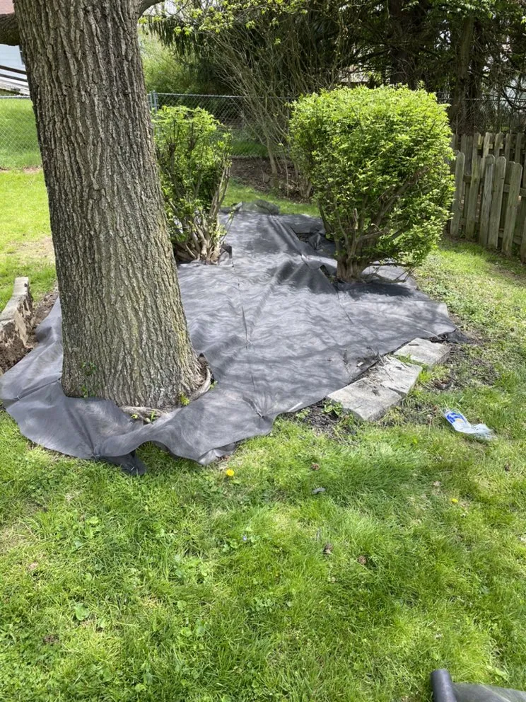 Local lawn care service near you in Pittsburgh, PA by Quality Landscaping