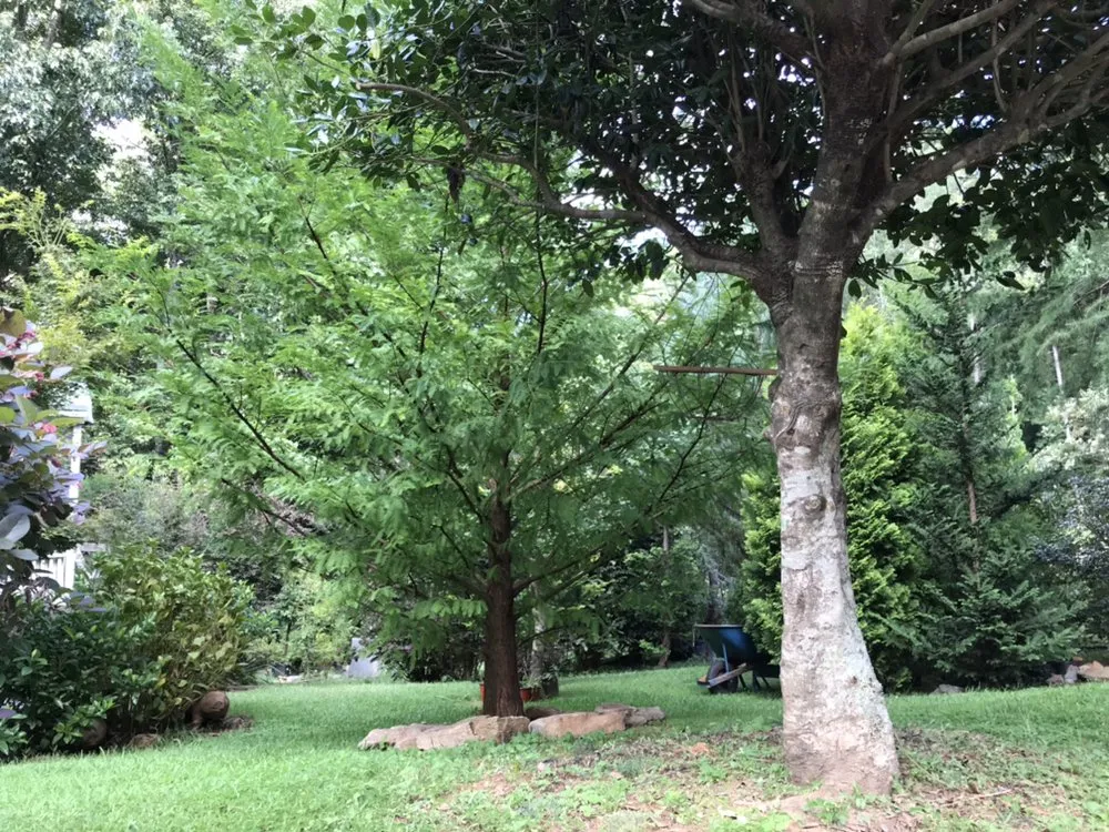 Professional residential landscaping in Acworth, GA by Quality Landscaping Services