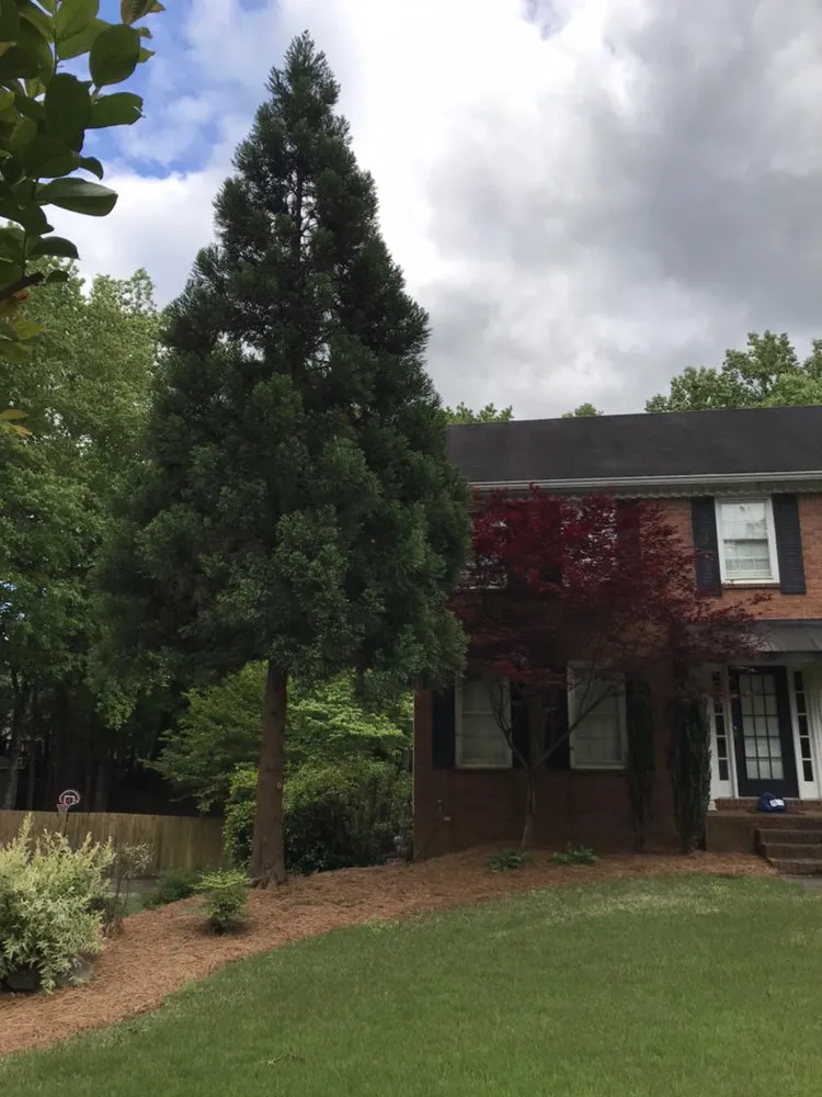 Trusted landscape installation with custom design in Acworth, GA by Quality Landscaping Services