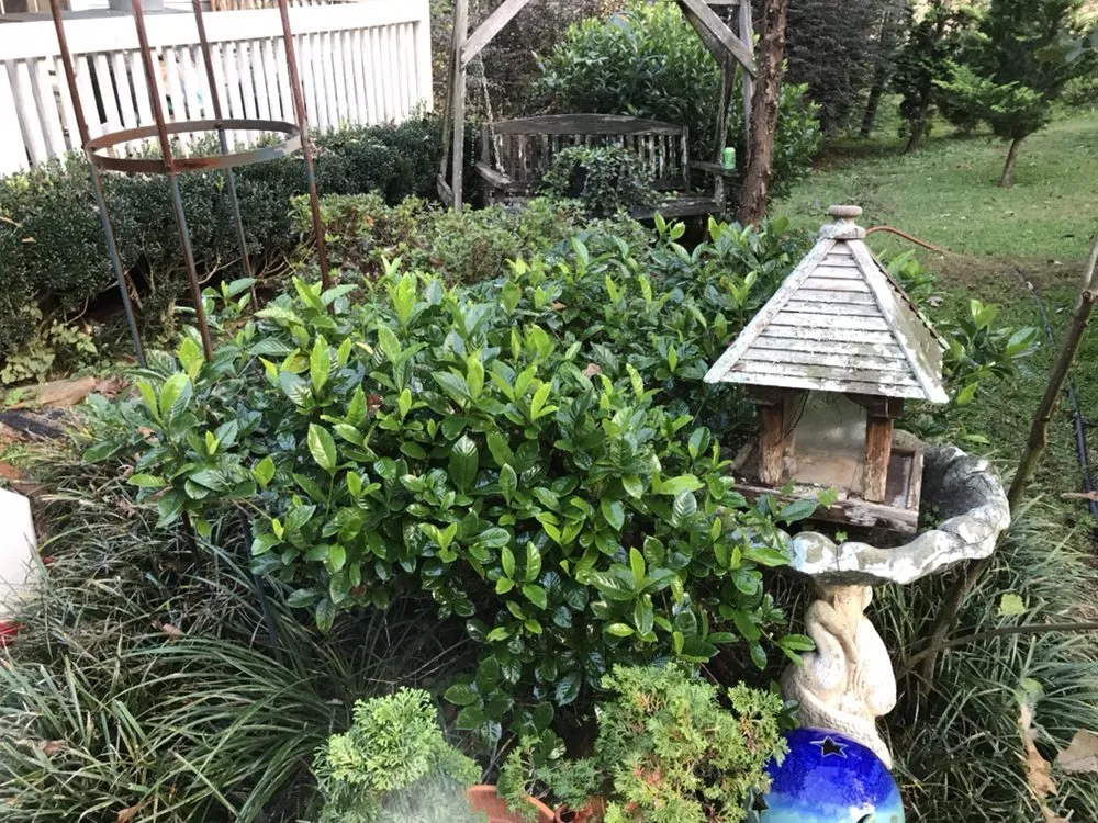 Professional lawn mowing service in Acworth, GA - Quality Landscaping Services