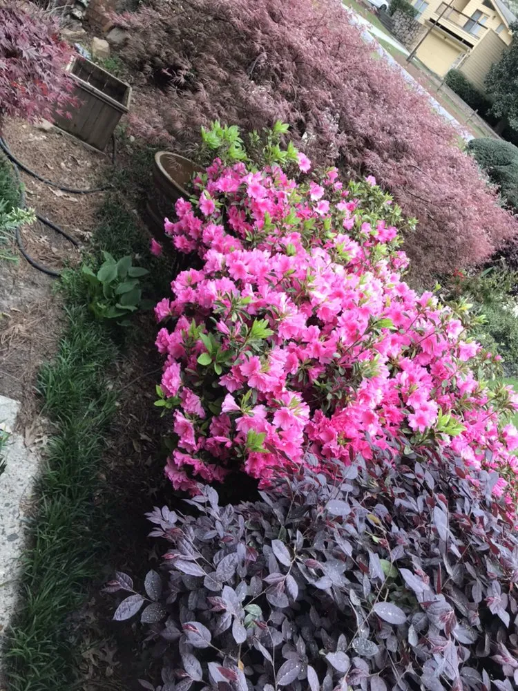 Expert landscape installation in Acworth, GA - Quality Landscaping Services