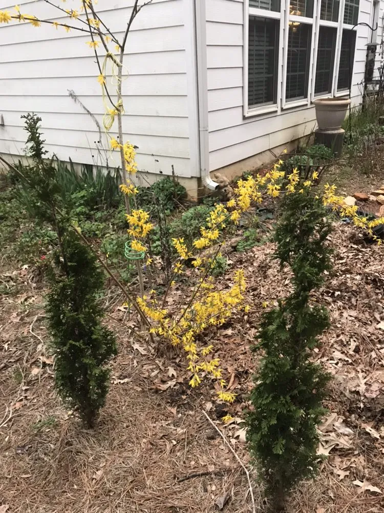 Trusted residential landscaping in Acworth, GA - Quality Landscaping Services