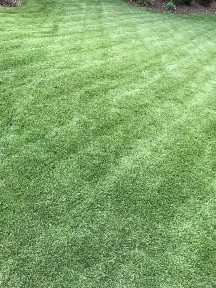 Reliable residential landscaping for outdoor upgrades across Acworth, GA - Quality Landscaping Services