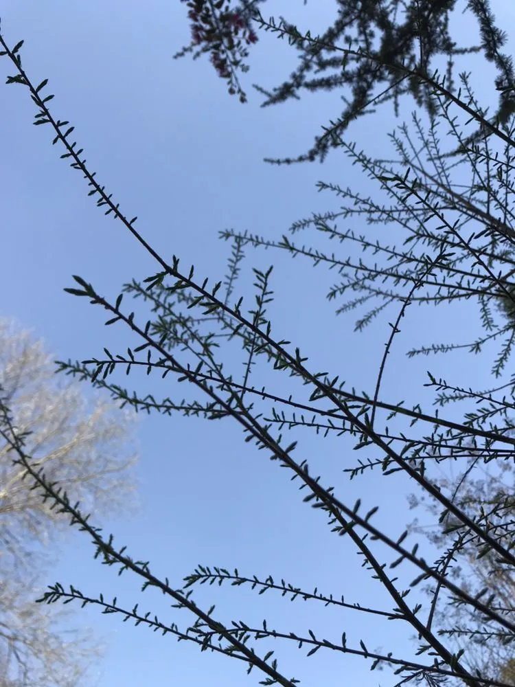 Professional lawn care service near you across Acworth, GA - Quality Landscaping Services