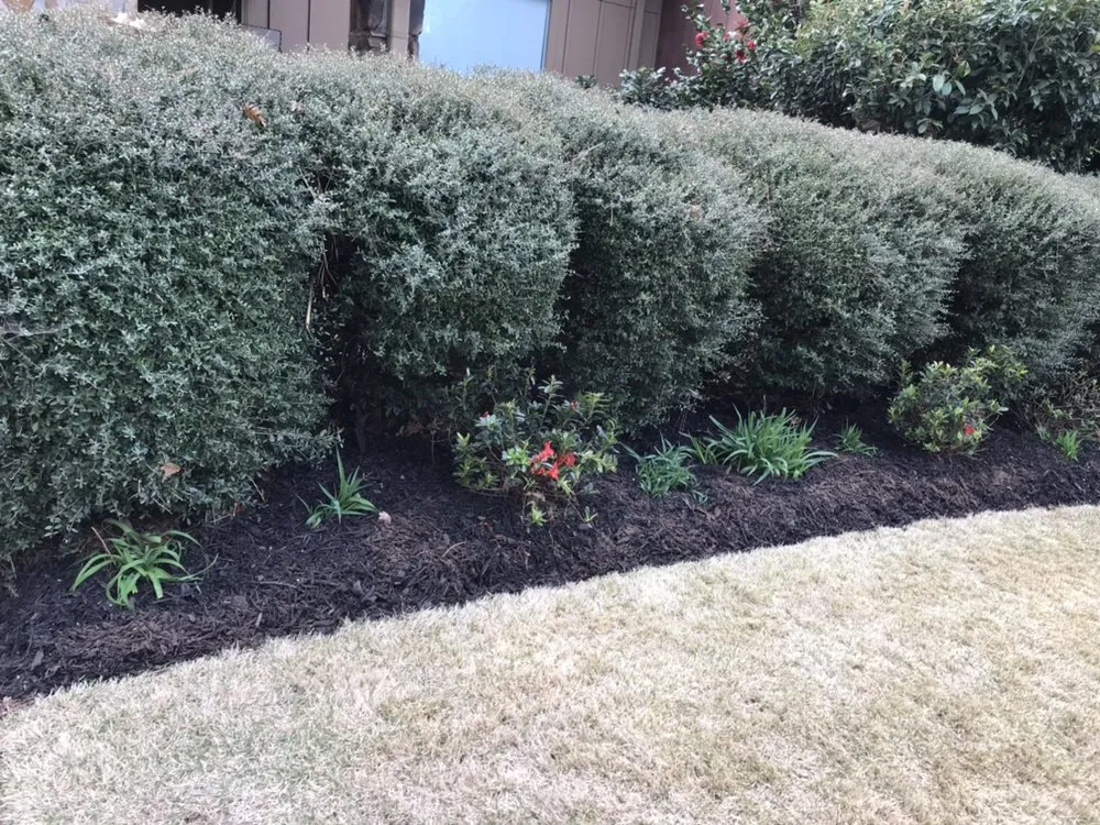 Trusted yard maintenance experts serving Acworth, GA - Quality Landscaping Services
