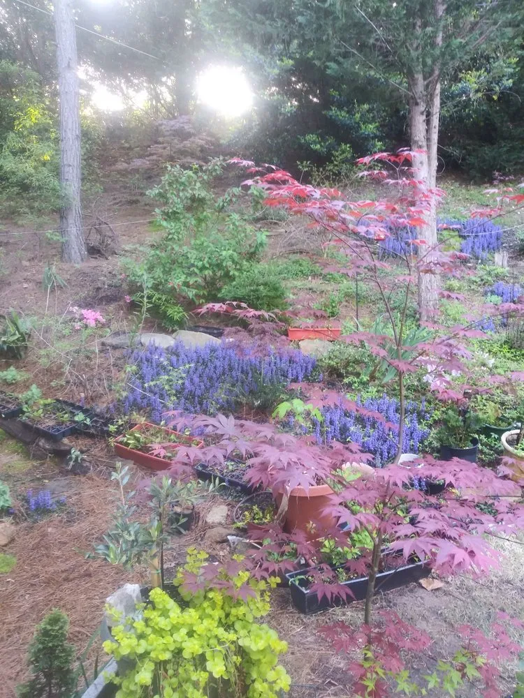 Top-rated landscape installation in Acworth, GA - Quality Landscaping Services