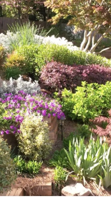 Trusted yard cleanup service for homes in Acworth, GA by Quality Landscaping Services