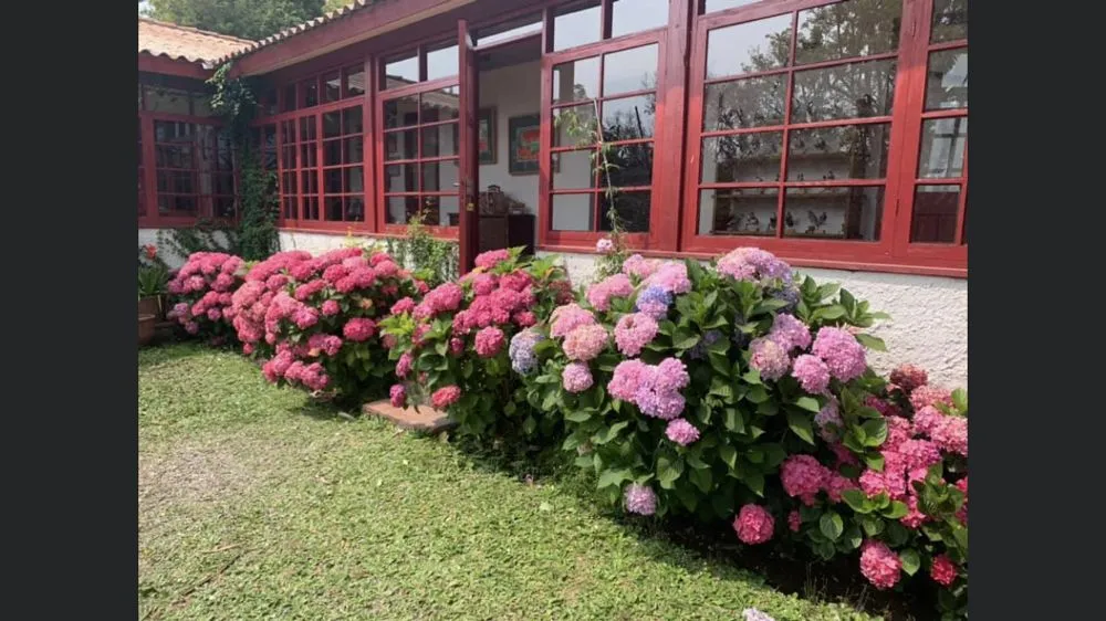 Professional outdoor landscaping for outdoor upgrades across Acworth, GA - Quality Landscaping Services