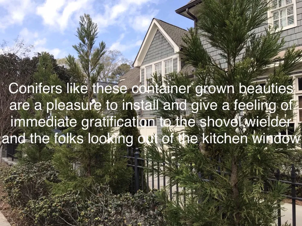 Trusted landscaping services in Acworth, GA by Quality Landscaping Services