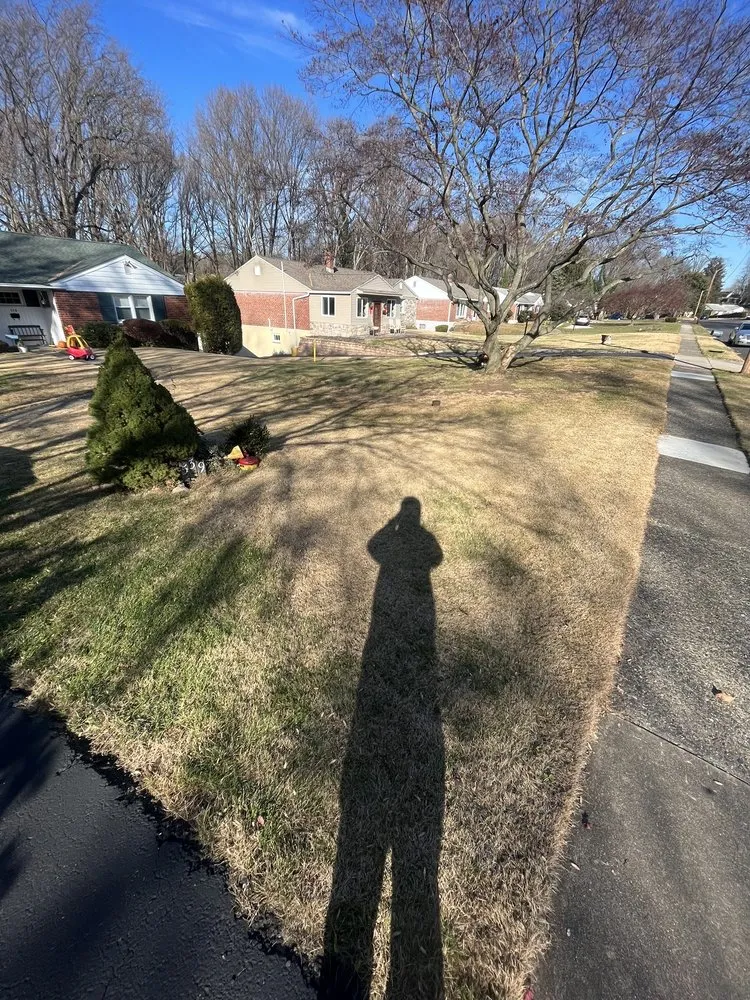 Affordable yard cleanup service in Ridley Park, PA - Quality Lawn & Landscape