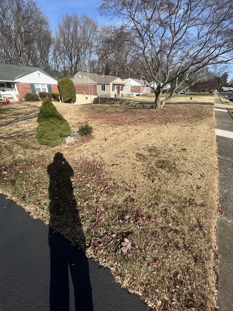 Expert garden landscaping in Ridley Park, PA - Quality Lawn & Landscape