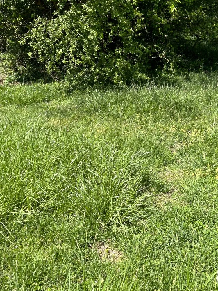 Expert residential landscaping in Knoxville, TN - Quality Lawn & Landscaping of East TN