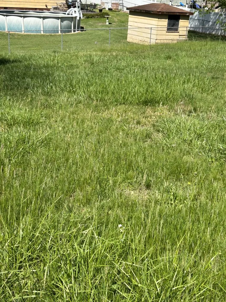 Affordable lawn care service in Knoxville, TN - Quality Lawn & Landscaping of East TN