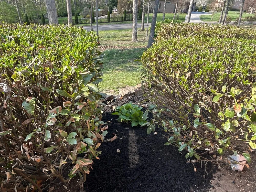 Custom garden landscaping for homes across Knoxville, TN - Quality Lawn & Landscaping of East TN