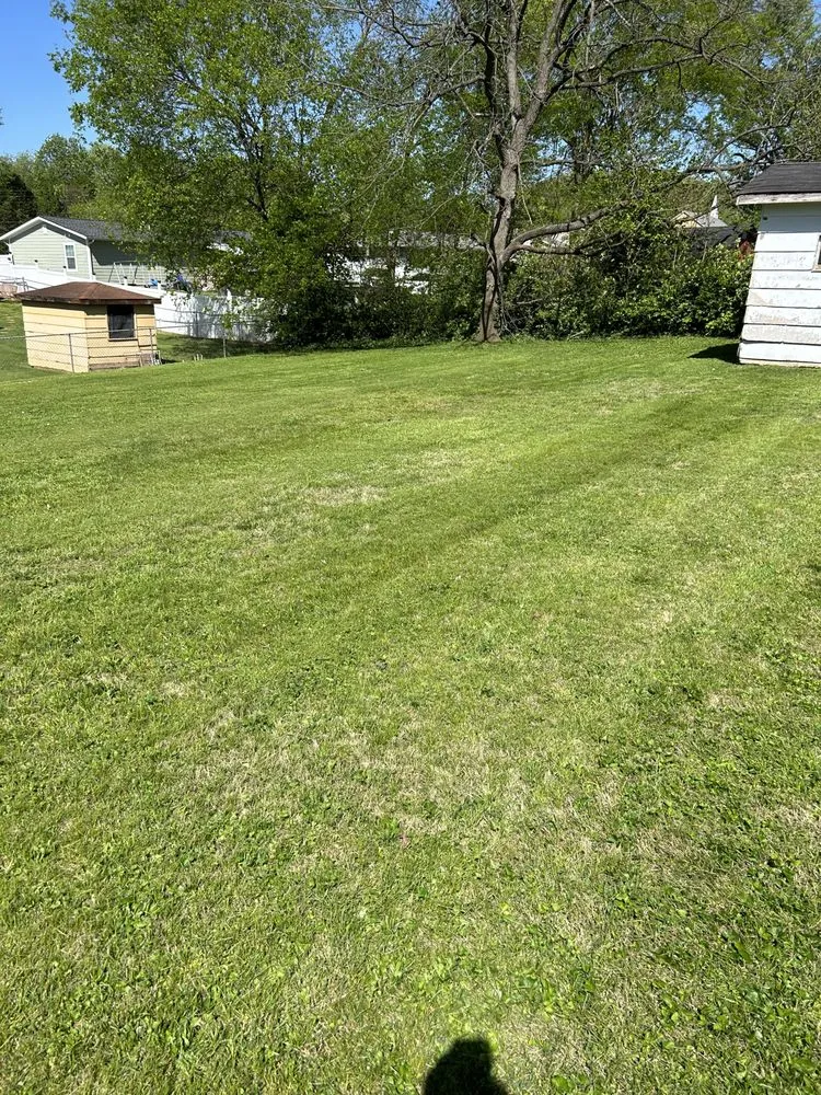 Trusted yard maintenance for outdoor upgrades across Knoxville, TN - Quality Lawn & Landscaping of East TN