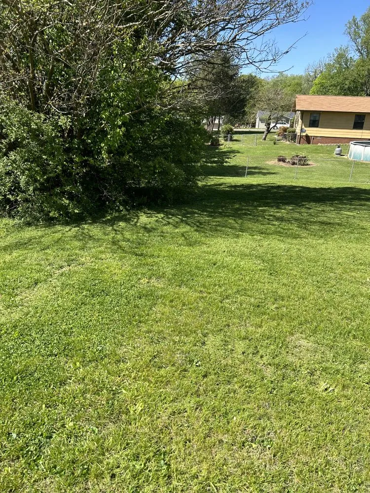 Affordable landscape design in Knoxville, TN - Quality Lawn & Landscaping of East TN