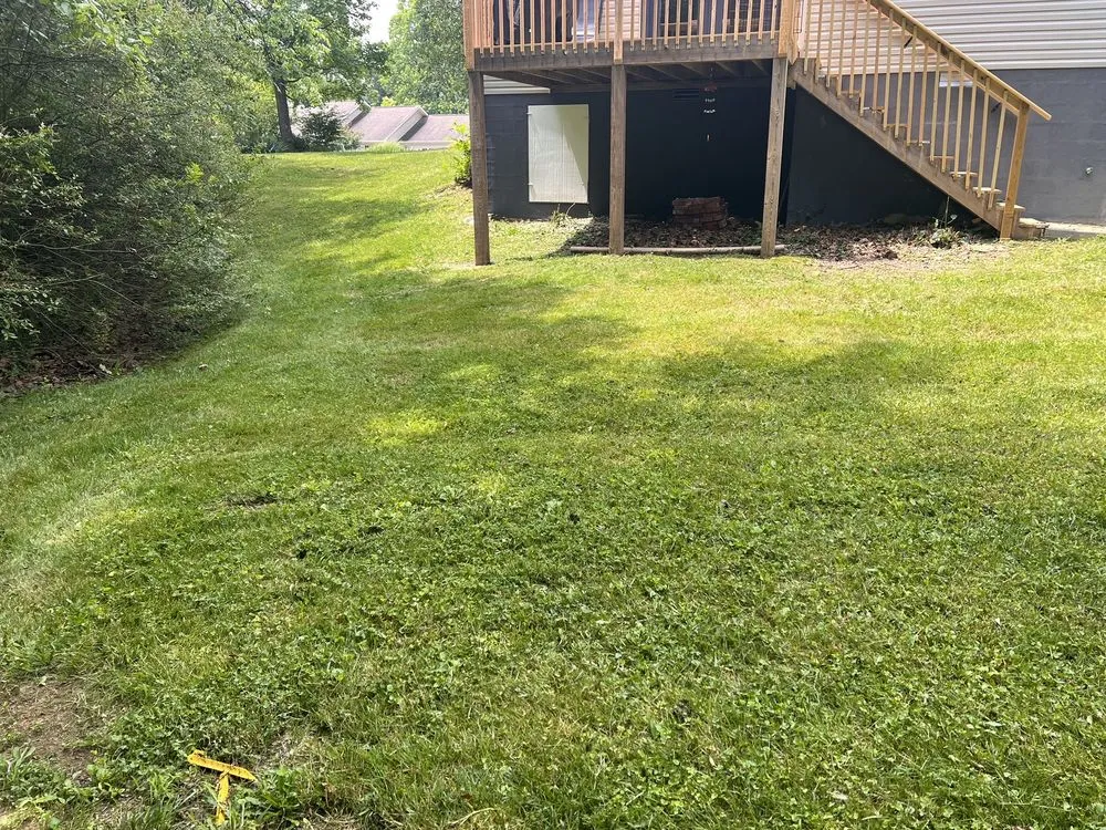 Affordable lawn care service for homes in Knoxville, TN by Quality Lawn & Landscaping of East TN