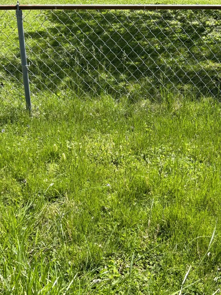 Top-rated landscape design in Knoxville, TN - Quality Lawn & Landscaping of East TN