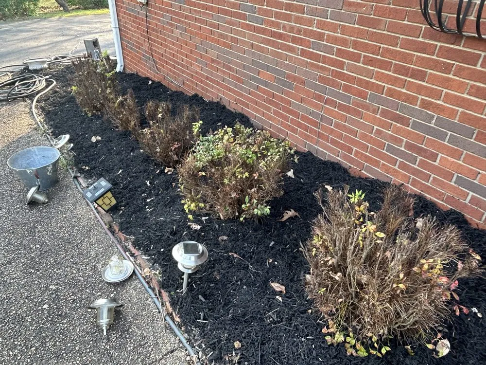 Local landscape design for year-round maintenance across Knoxville, TN - Quality Lawn & Landscaping of East TN