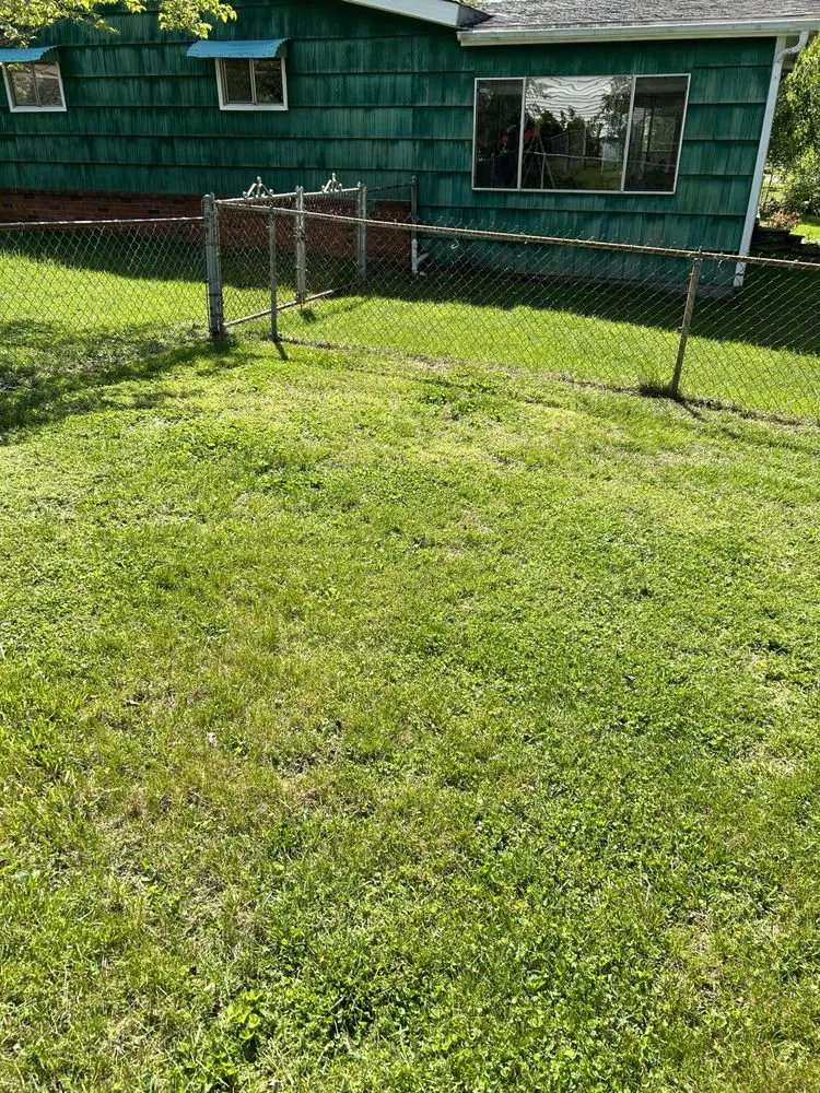 Expert landscape design in Knoxville, TN by Quality Lawn & Landscaping of East TN