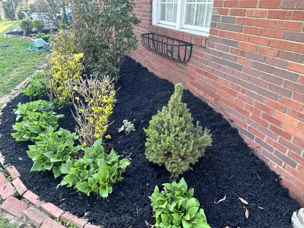 Professional landscaping services for year-round maintenance across Knoxville, TN - Quality Lawn & Landscaping of East TN