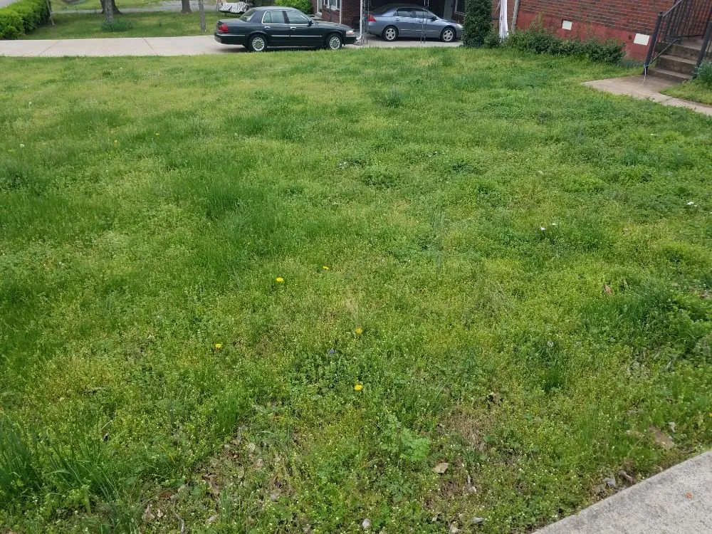 Local garden landscaping for year-round maintenance in Nashville, TN by Quality Lawn & Landscaping Services